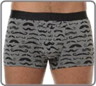 Boxer Hom - Whiskers...