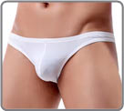 Petit slip bas sur une fine matire microfibre extensible. Dos semi-couvrant...