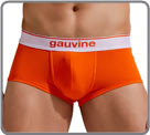 Boxer Gauvine - 3000...